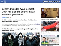 Bild zum Artikel: In Island wurden Wale getötet. Doch mit diesem Gegner hatte niemand gerechnet.