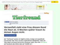 Bild zum Artikel: Verzweifelt zieht eine Frau diesem Hund die Haut ab. 6 Wochen später traust du deinen Augen nicht.