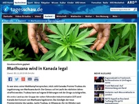 Bild zum Artikel: Marihuana wird in Kanada legalisiert