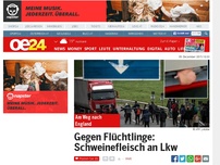 Bild zum Artikel: Gegen Flüchtlinge: Schweinefleisch an Lkw