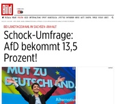 Bild zum Artikel: Sachsen-Anhalt - AfD bekommt bei Umfrage 13,5 Prozent
