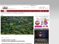 Bild zum Artikel: 100 Millionen Hektar neuer Wald: Afrikaner planen gigantische Aufforstung