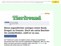 Bild zum Artikel: Diese Jugendlichen zwingen einen Hund, Drogen zu fressen. Doch als seine Besitzer ihn...