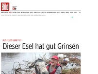 Bild zum Artikel: Aus Fluss gerettet - Dieser Esel hat gut Grinsen