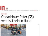 Bild zum Artikel: Gestohlen! - Obdachloser vermisst seinen Hund