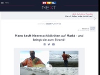 Bild zum Artikel: Mann kauft Meeresschildkröten auf Markt - und bringt sie zum Strand!