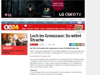 Bild zum Artikel: Loch im Grenzzaun: So wütet Strache