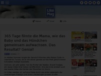 Bild zum Artikel: 365 Tage filmte die Mama, wie das Baby und das Hündchen gemeinsam aufwachsen. Das Resultat? Genial!