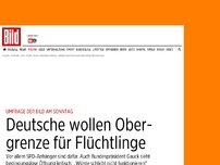 Bild zum Artikel: Aktuelle Umfrage - Deutsche wollen Obergrenze für Flüchtlinge