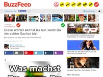 Bild zum Artikel: Diese Wörter kennst Du nur, wenn Du ein echter Sachse bist