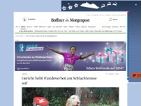 Bild zum Artikel: Urteil: Gericht hebt Hundeverbot am Schlachtensee auf