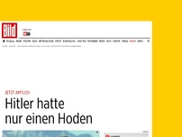 Bild zum Artikel: Jetzt amtlich - Hitler hatte nur einen Hoden