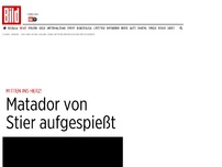 Bild zum Artikel: Mitten ins Herz! - Matador von Stier aufgespiesst