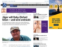 Bild zum Artikel: Tierfreunde jubeln: Jäger will Baby-Elefant töten - und wird erdrückt