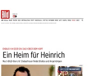 Bild zum Artikel: Zu Weihnachten - Ein Heim für Heinrich