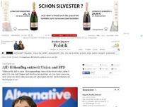 Bild zum Artikel: Sonntagsfrage: AfD-Höhenflug entzweit Union und SPD