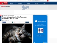 Bild zum Artikel: Schlimme Tierquälerei in Sachsen - An Anhängerkupplung gebunden: Katze zu Tode geschleift