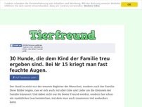 Bild zum Artikel: 30 Hunde, die dem Kind der Familie treu ergeben sind. Bei Nr 15 kriegt man fast feuchte Augen.