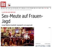 Bild zum Artikel: Silvester auf dem Kiez - Sex-Meute auf Frauen-Jagd