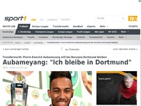 Bild zum Artikel: Aubameyang: 'Ich bleibe in Dortmund'