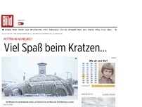 Bild zum Artikel: Mitten in Hamburg? - Viel Spaß beim Kratzen...