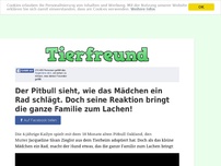 Bild zum Artikel: Der Pitbull sieht, wie das Mädchen ein Rad schlägt. Doch seine Reaktion bringt die ganze Familie...