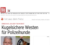 Bild zum Artikel: Nach Tod im Dienst - Kugelsichere Westen für Polizeihunde