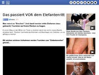 Bild zum Artikel: Das passiert VOR dem Elefantenritt