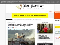 Bild zum Artikel: Türkei startet Offensive gegen IS: Schon mehrere kurdische Stellungen zerstört