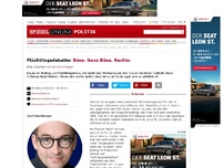 Bild zum Artikel: Flüchtlingsdebatte: Böse. Ganz Böse. Rechts.