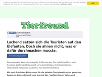 Bild zum Artikel: Lachend setzen sich die Touristen auf den Elefanten. Doch sie ahnen nicht, was er dafür...