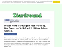 Bild zum Artikel: Dieser Hund verhungert fast freiwillig. Der Grund dafür ließ mich bittere Tränen weinen.