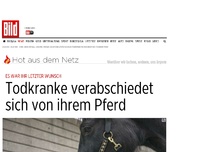 Bild zum Artikel: Am nächsten Tag starb sie - Todkranke verabschiedet sich von ihrem Pferd