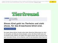 Bild zum Artikel: Dieses Kind geht ins Tierheim und sieht etwas, für das Erwachsene blind sind.