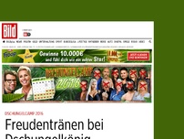 Bild zum Artikel: Dschungelcamp 2016 - Das große Finale im BILD-Ticker