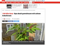 Bild zum Artikel: Opa dealt gemeinsam mit seinen Enkelinnen