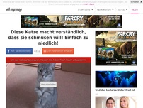 Bild zum Artikel: Diese Katze macht verständlich, dass sie schmusen will! Einfach zu niedlich!