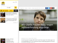 Bild zum Artikel: Anwalt stellt Strafanzeige gegen AfD-Chefin Petry
