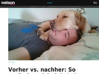 Bild zum Artikel: Vorher vs. nachher: So verändert sich dein Leben, wenn du dir einen Hund anschaffst 