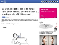 Bild zum Artikel: 17 wichtige Jobs, die jede Katze sehr ernst nimmt. Besonders Nr. 11 erledigen sie pflichtbewusst.