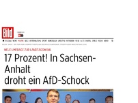 Bild zum Artikel: Umfrage zur Wahl in Sachsen-Anhalt - AfD kommt auf 17 Prozent!
