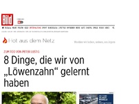 Bild zum Artikel: Zum Tod von Peter Lustig - 8 Dinge, die wir von „Löwenzahn“ gelernt haben