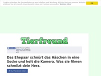 Bild zum Artikel: Das Ehepaar schnürt das Häschen in eine Socke und holt die Kamera. Was sie filmen schmilzt dein...