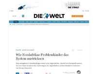 Bild zum Artikel: Junge Ausländer: Wie Nordafrikas Problemkinder das System austricksen