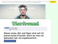 Bild zum Artikel: Dieser Löwe, Bär und Tiger sind seit 15 Jahren beste Freunde. Doch wo man sie gefunden hat, ist...