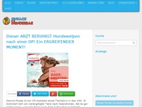 Bild zum Artikel: Dieser ARZT BERUHIGT Hundewelpen nach einer OP! Ein ERGREIFENDER MOMENT!