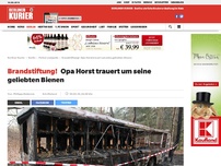 Bild zum Artikel: Opa Horst trauert um seine geliebten Bienen