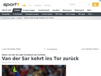 Bild zum Artikel: Van der Sar kehrt ins Tor zurück