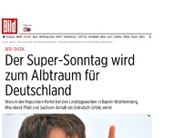 Bild zum Artikel: AfD-Check - Der 13. März wird zum Albtraum für Deutschland