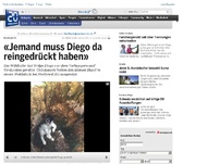 Bild zum Artikel: Niederwil AG: «Jemand muss Diego da reingedrückt haben»